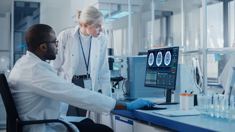 two doctors looking at a brain scan to help a survivor understand how is a stroke diagnosed