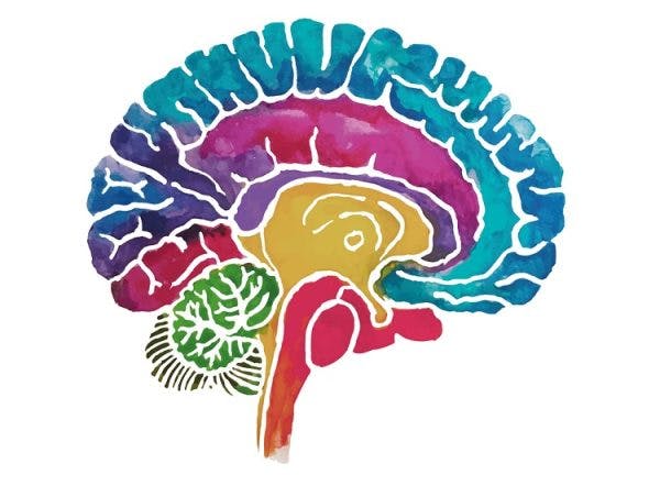 artistic rendering of the human brain to illustrate the most vulnerable areas during a traumatic brain injury
