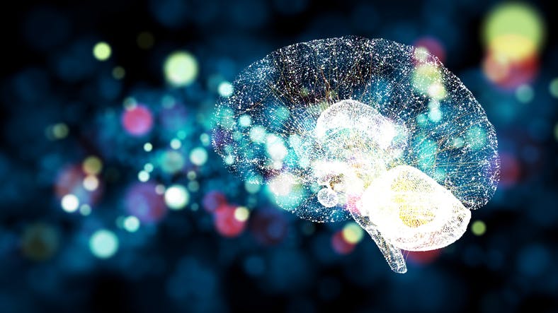 illustration of brain and neural networks showing neuroplasticity after stroke