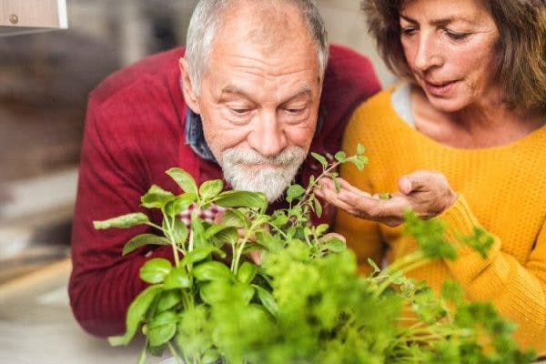 Dealing with Loss of Taste and Smell After Brain Injury