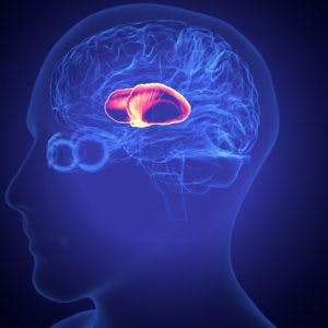todo lo que necesita saber sobre la recuperación del accidente cerebrovascular talámico