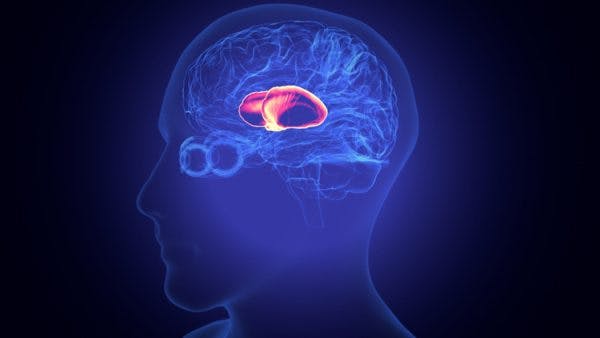 todo lo que necesita saber sobre la recuperación del accidente cerebrovascular talámico