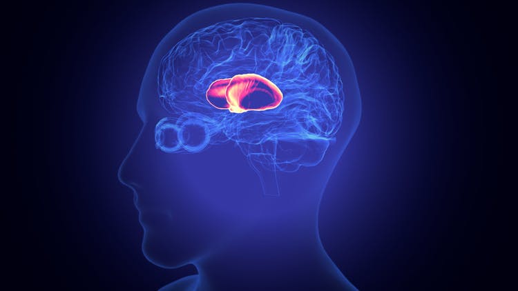 todo lo que necesita saber sobre la recuperación del accidente cerebrovascular talámico