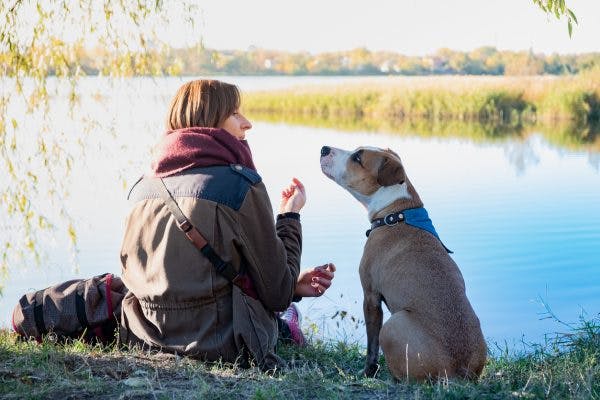TBI service dog and owner sitting by lake