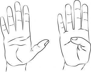  ejercicio de mano para terapia ocupacional
