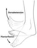 Thumbnail for version as of 23:32, 2 March 2015